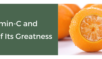 A Slice Of Orange Fruit