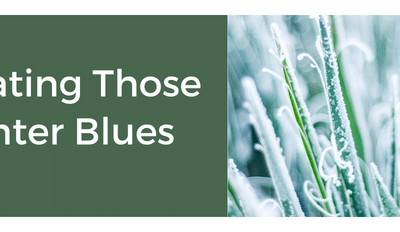 Graphical User Interface, Text, Application, Chat Or Text Message