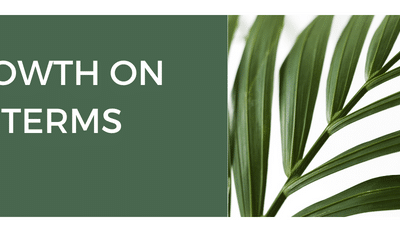 A Close Up Of A Plant