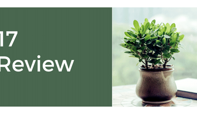 A Vase Of Flowers On A Table