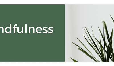 A Close Up Of A Plant