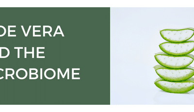 Graphical User Interface, Text