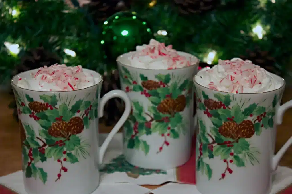 peppermint hot cocoa comfort foods.