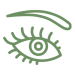 Eye Icon